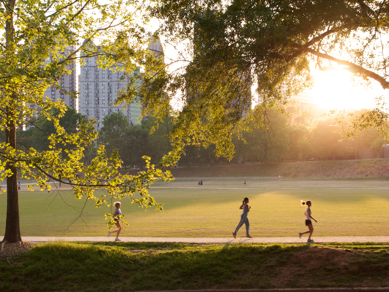 park for exercises